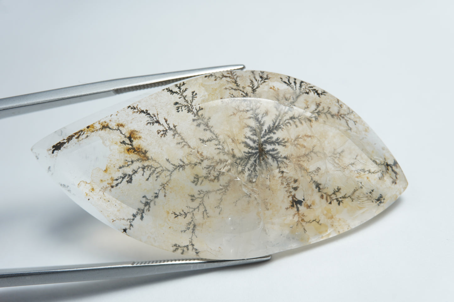53.05ct Dendrite 50x25mm