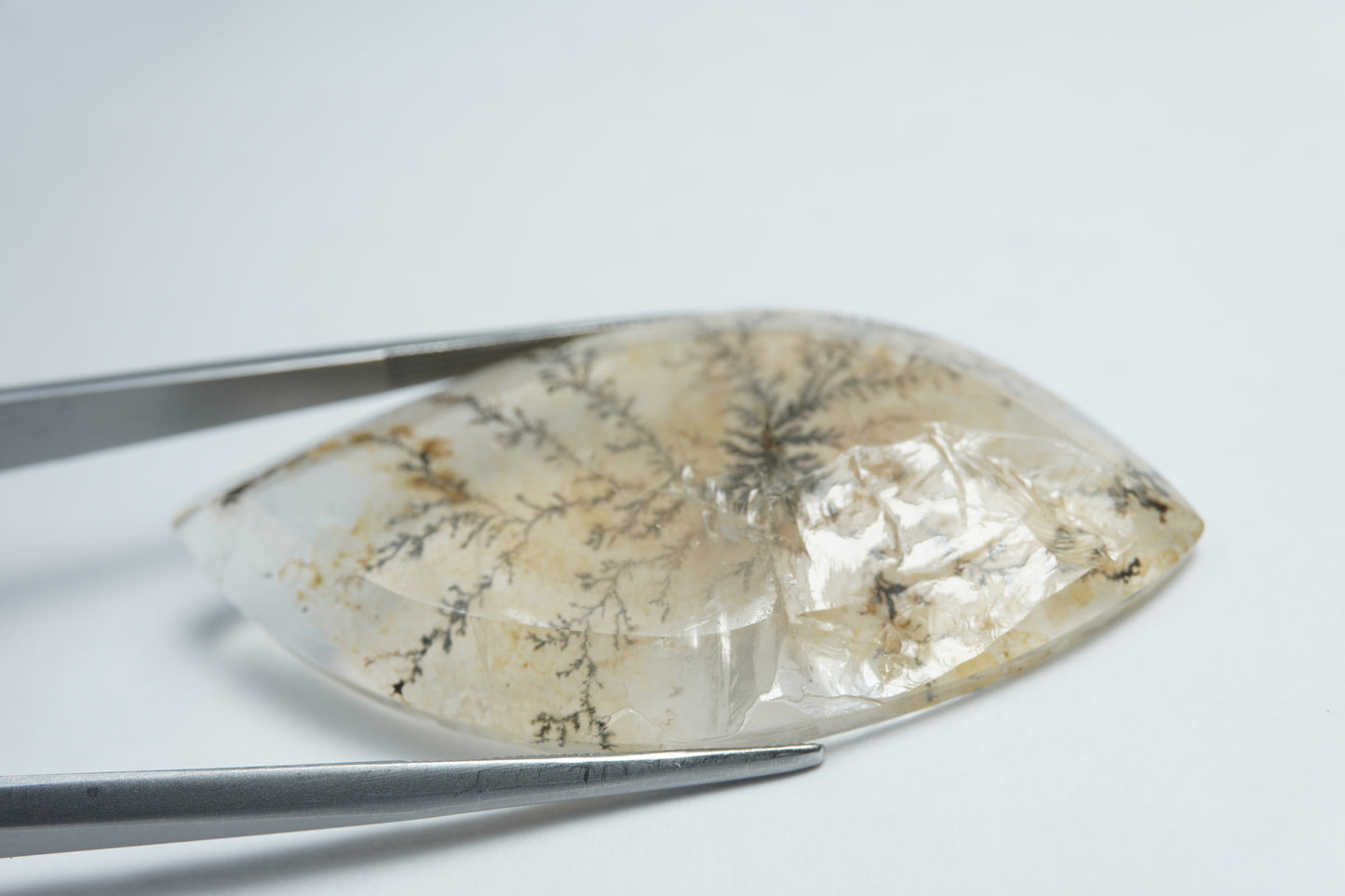 53.05ct Dendrite 50x25mm
