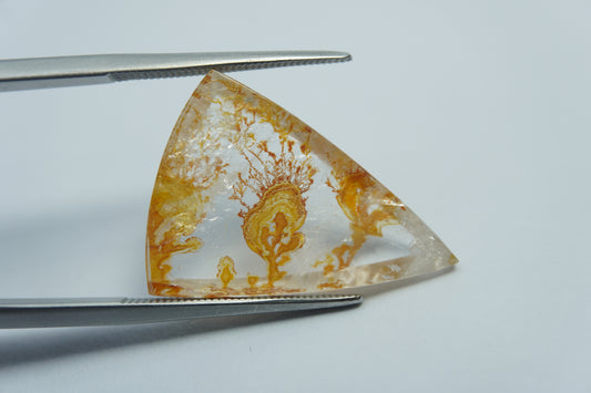13.85ct Dendrite 25x18mm