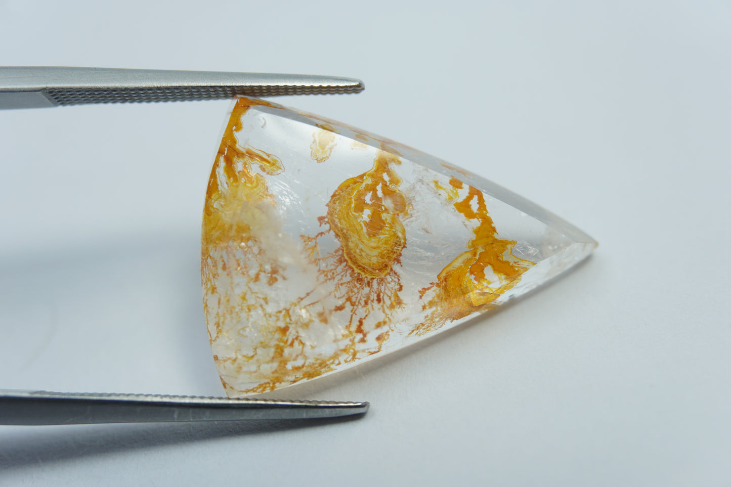 13.85ct Dendrite 25x18mm