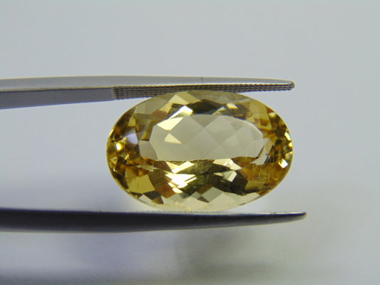 12.25ct Beryl 18x12mm