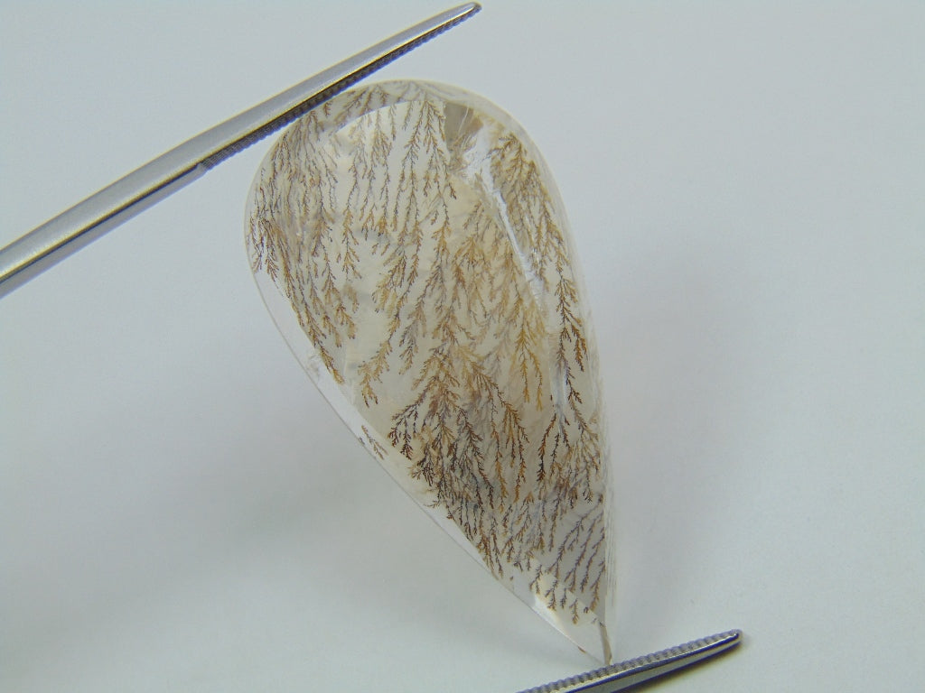 28.10ct Dendrite 36x19mm