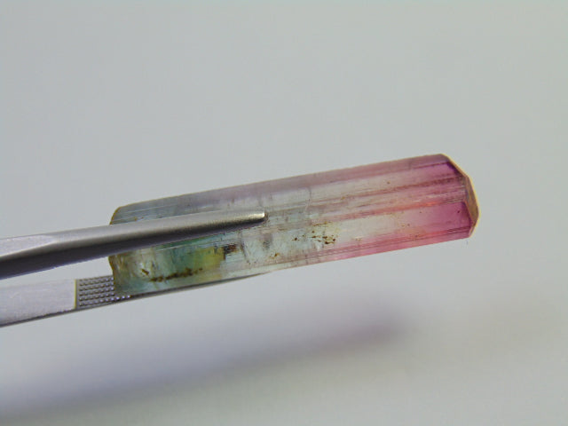 17.25ct Tourmaline Bicolor Piece 32x11mm