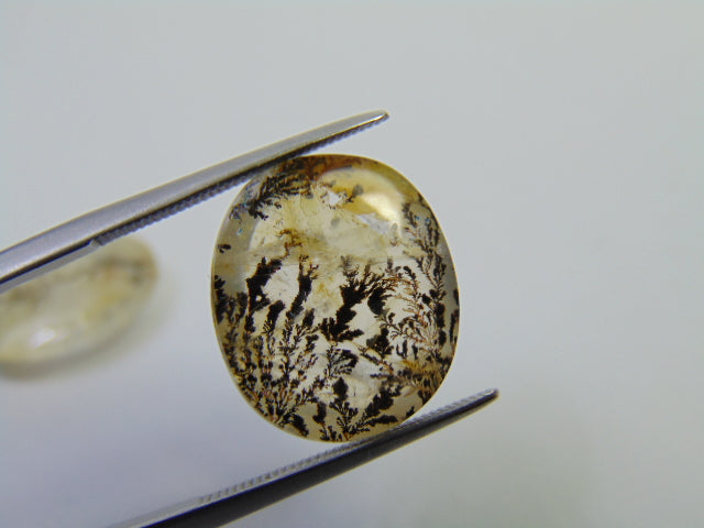 16.30ct Dendrite 16x14mm 17x13mm