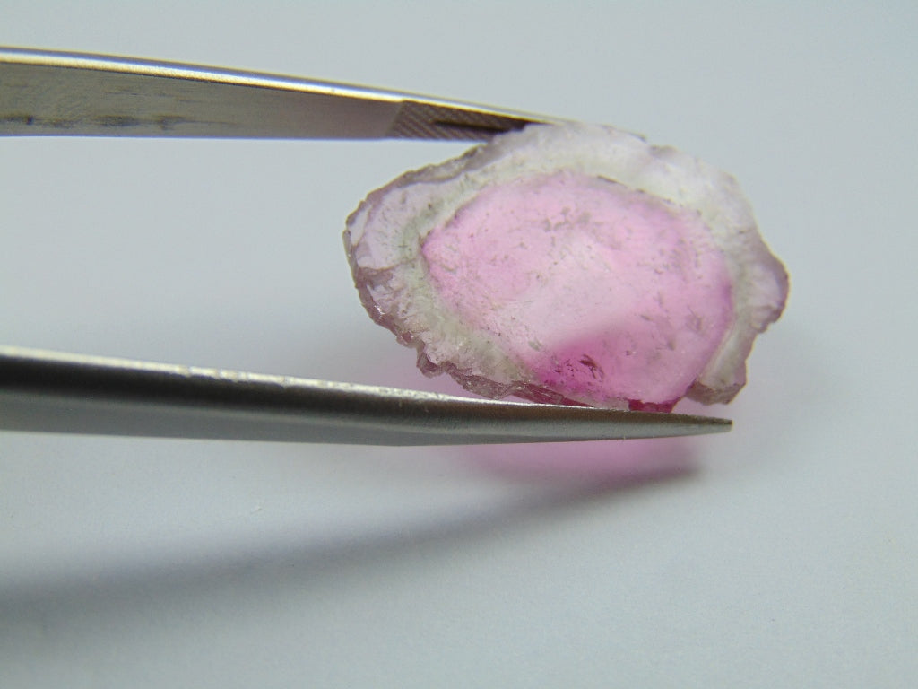 12.50ct Watermelon Tourmaline 27x19mm