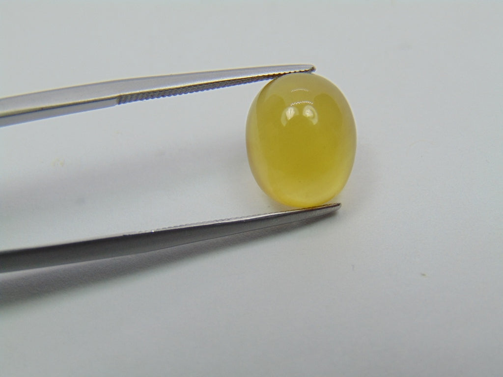 6ct Beryl Cabochon 12x10mm