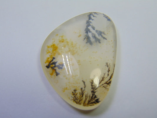 112.40ct Dendrite 49x35mm