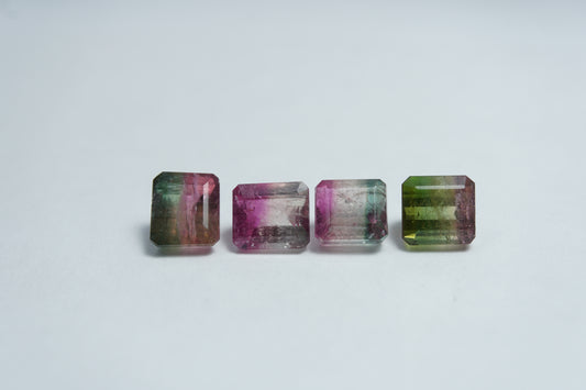4.24ct Bicolor Tourmaline