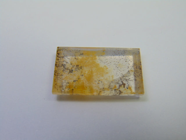 25.05ct Dendrite 26x17mm