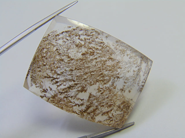 99.20ct Dendrite 39x30mm