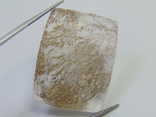 99.20ct Dendrite 39x30mm