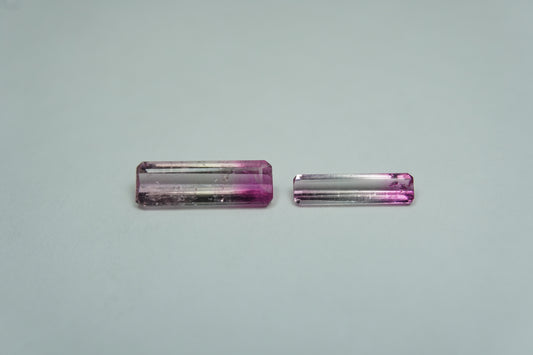 1.53ct Tourmalines bicolor 12x4mm / 10x3mm