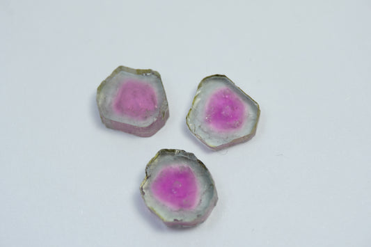 9.35ct Watermelon Tourmalines 10x9mm
