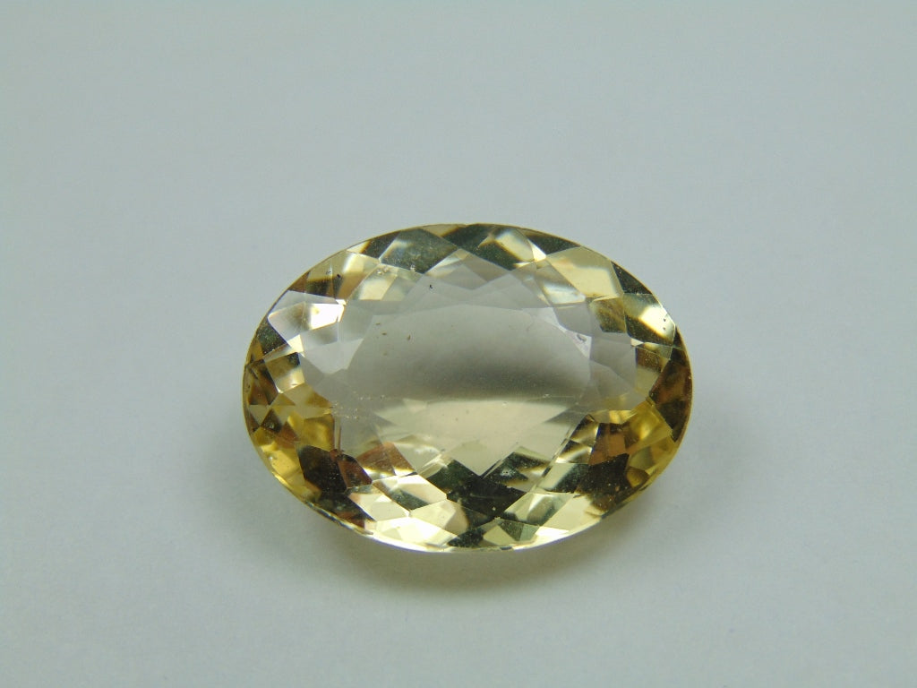 19.45ct Beryl 22x17mm