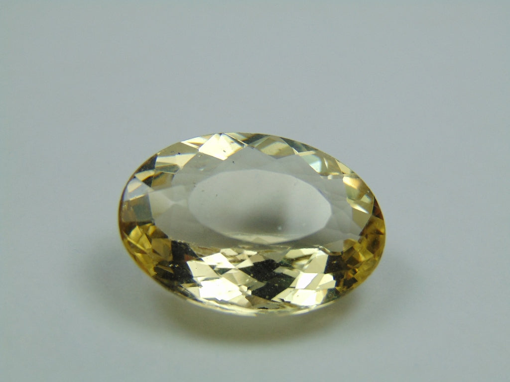 19.45ct Beryl 22x17mm