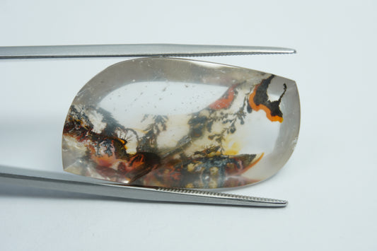 34.15ct Dendrite 34x19mm