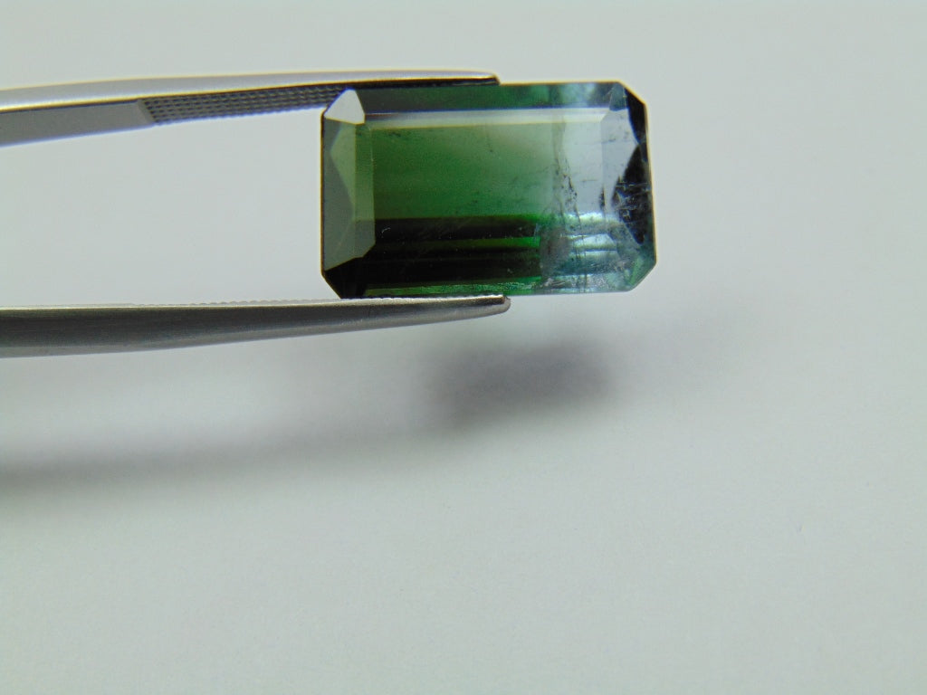 9.85ct Tourmaline Bicolor 17x11mm