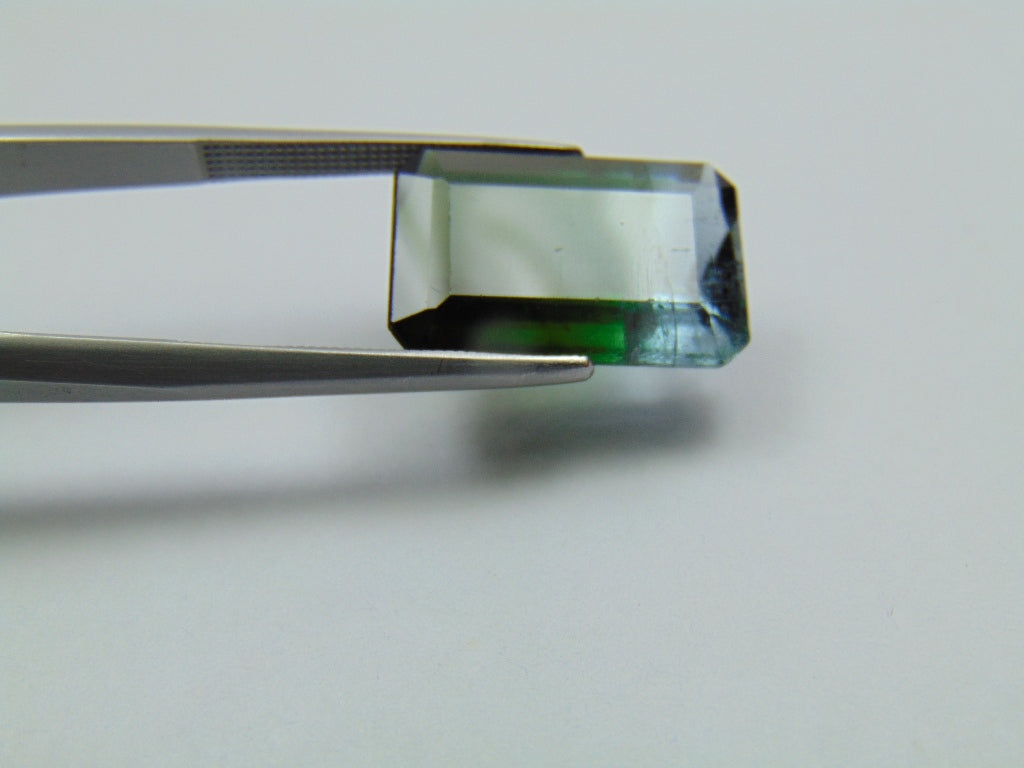 9.85ct Tourmaline Bicolor 17x11mm