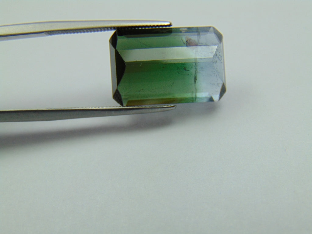 9.85ct Tourmaline Bicolor 17x11mm