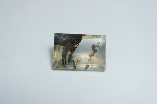 8.65ct Dendrite 16x11mm