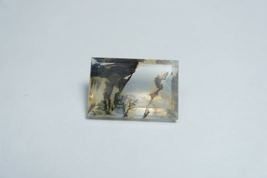 8.65ct Dendrite 16x11mm