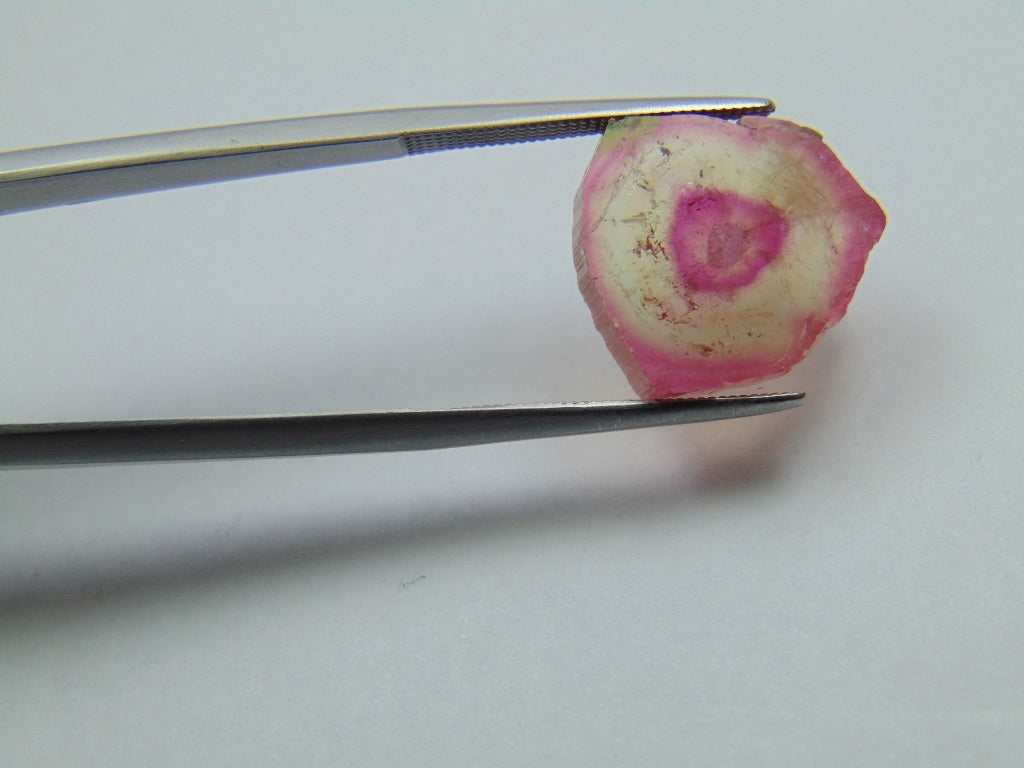 8.05ct Watermelon Tourmaline 15x13mm