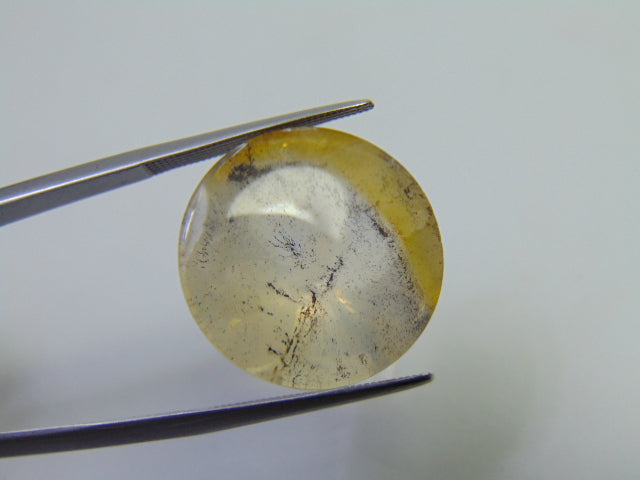 21.90ct Dendrite 20mm