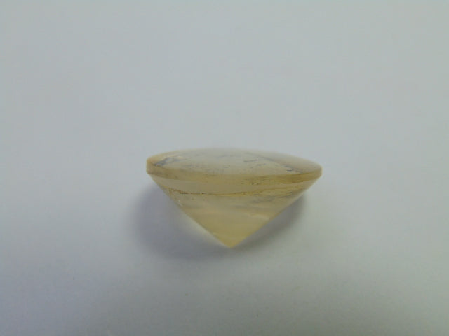 21.90ct Dendrite 20mm