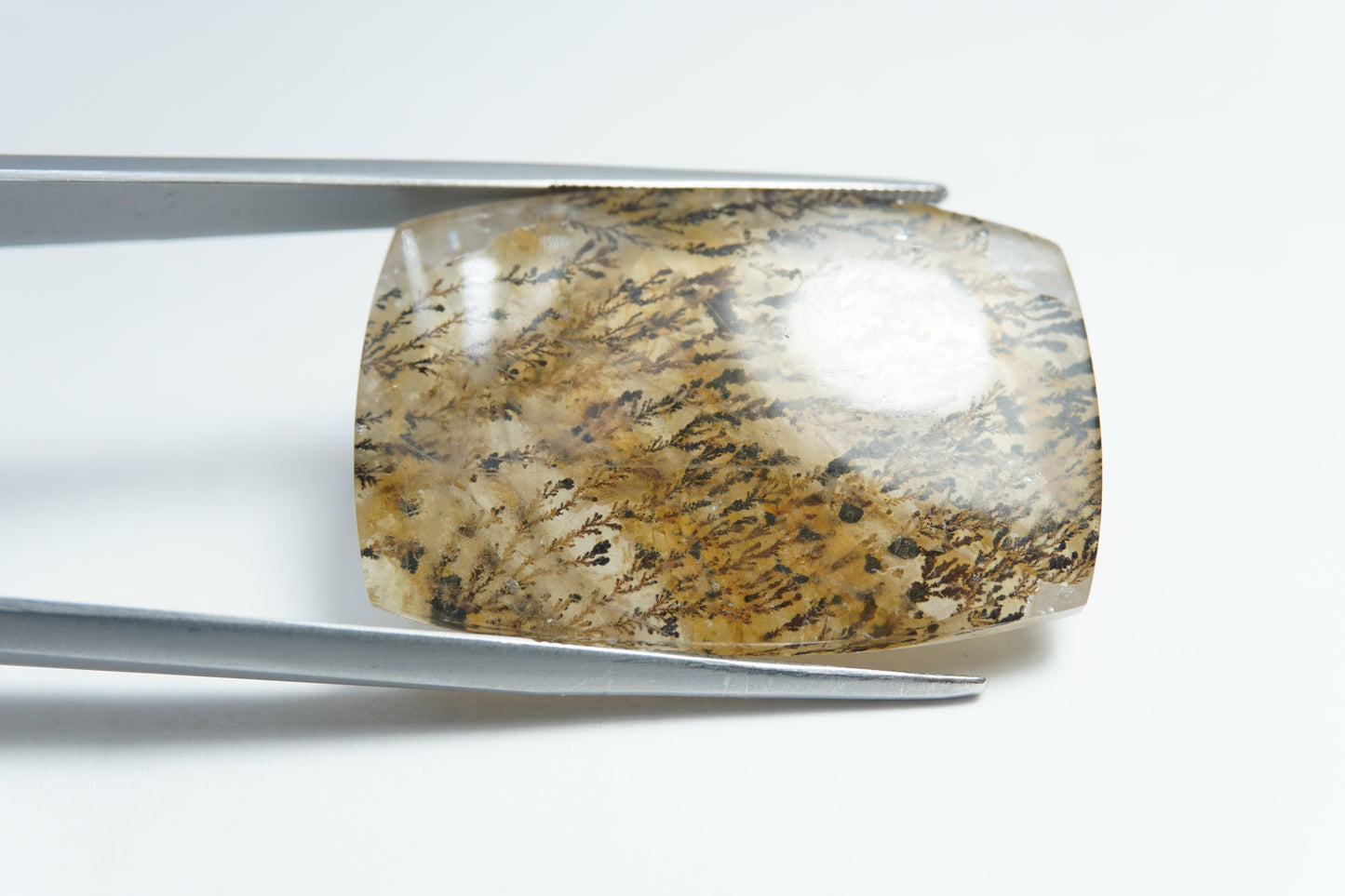 44.95ct Dendrite 32x21mm