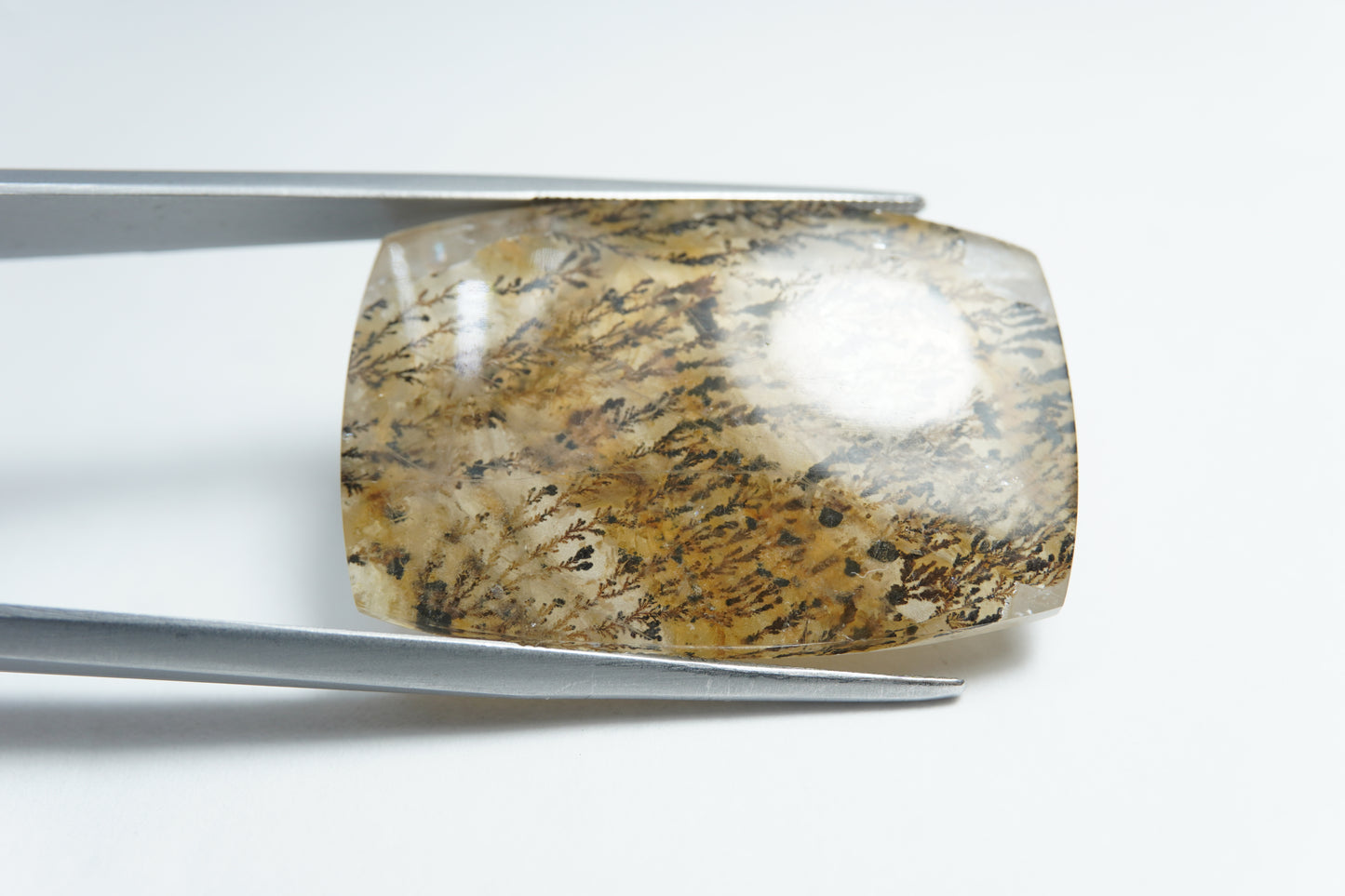 44.95ct Dendrite 32x21mm