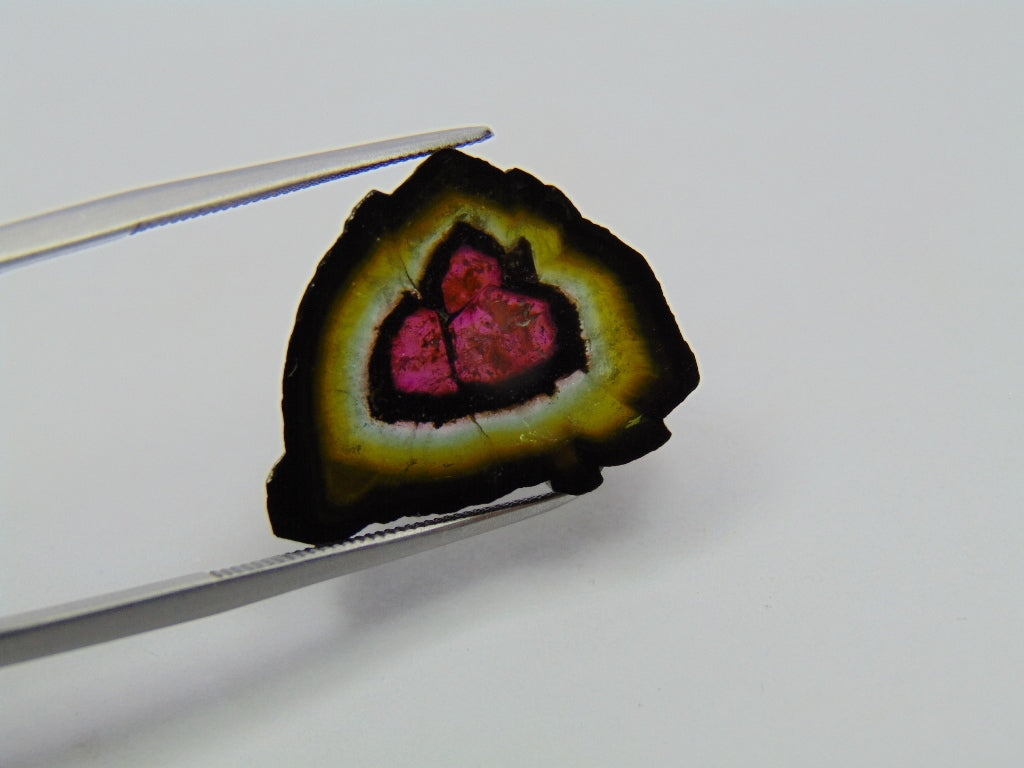 14.30ct Watermelon Tourmaline 22x17mm