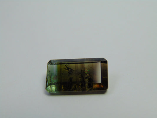 15.05ct Tourmaline Bicolor 18x11mm