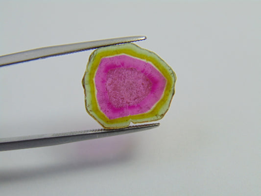 8.60ct Watermelon Tourmaline 16x14mm