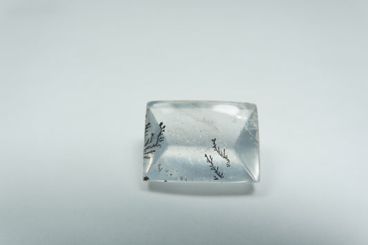 8.11ct Dendrite 14x10mm