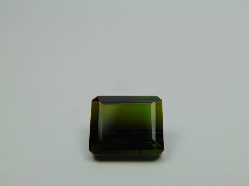 9.60ct Tourmaline Bicolor 13x12mm