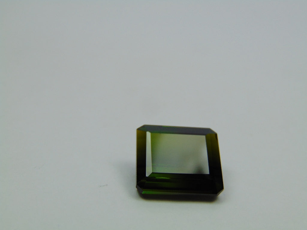 9.60ct Tourmaline Bicolor 13x12mm