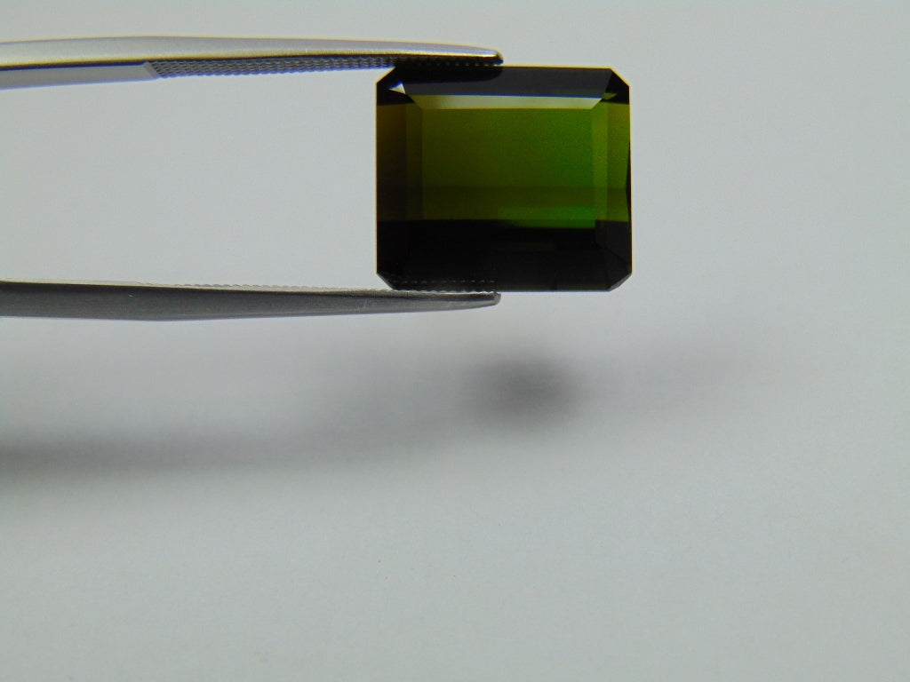 9.60ct Tourmaline Bicolor 13x12mm