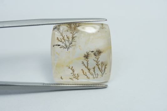 15.10ct Dendrite 17x17.5mm