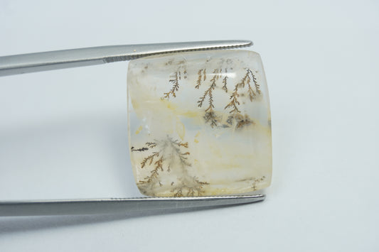 15.10ct Dendrite 17x17.5mm