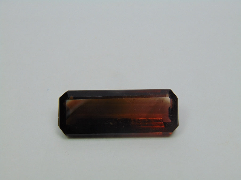 19.45ct Tourmaline Bicolor 29x11mm