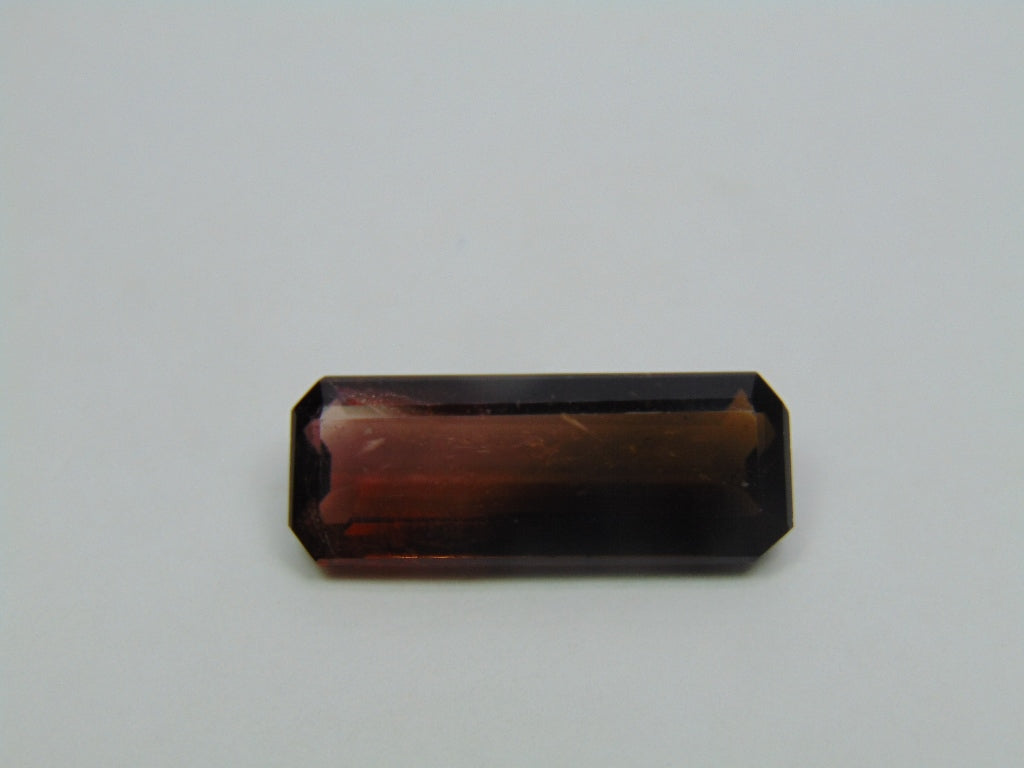 19.45ct Tourmaline Bicolor 29x11mm