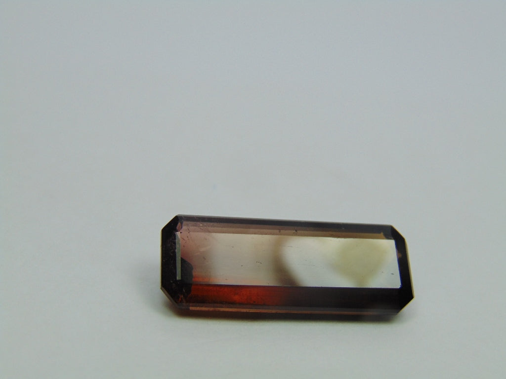 19.45ct Tourmaline Bicolor 29x11mm