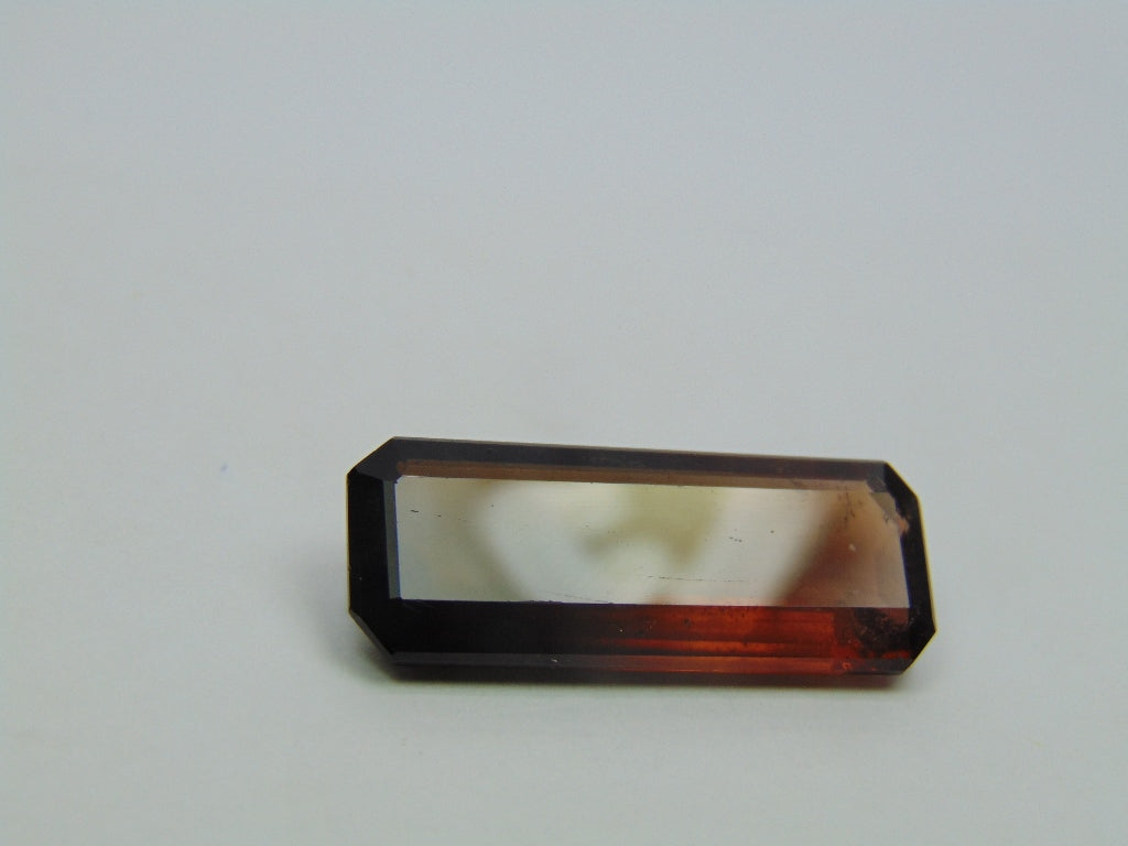 19.45ct Tourmaline Bicolor 29x11mm