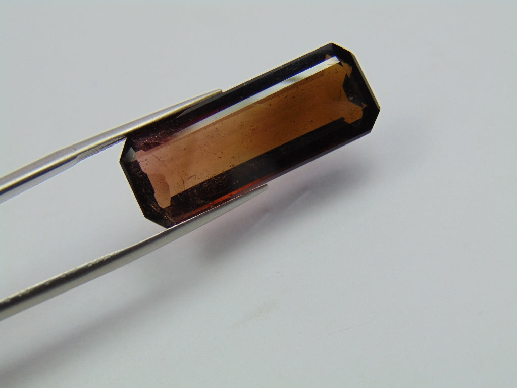 19.45ct Tourmaline Bicolor 29x11mm