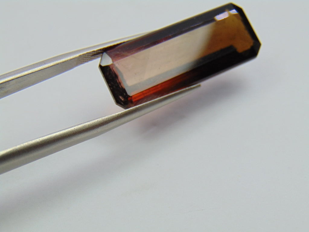 19.45ct Tourmaline Bicolor 29x11mm