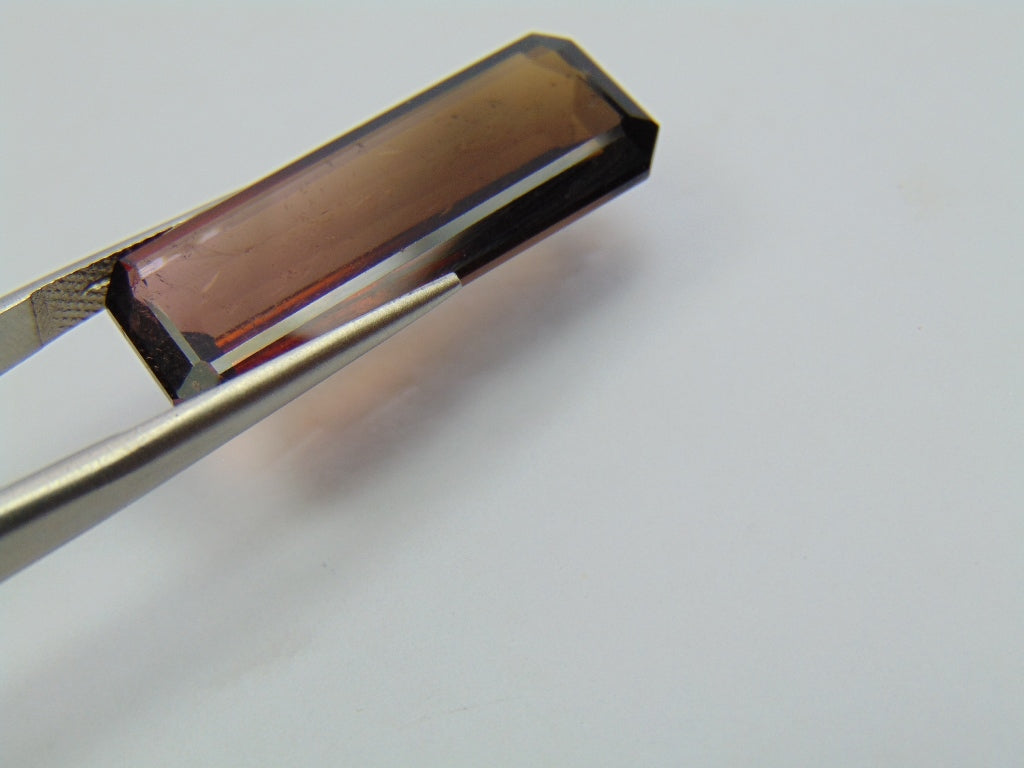 19.45ct Tourmaline Bicolor 29x11mm