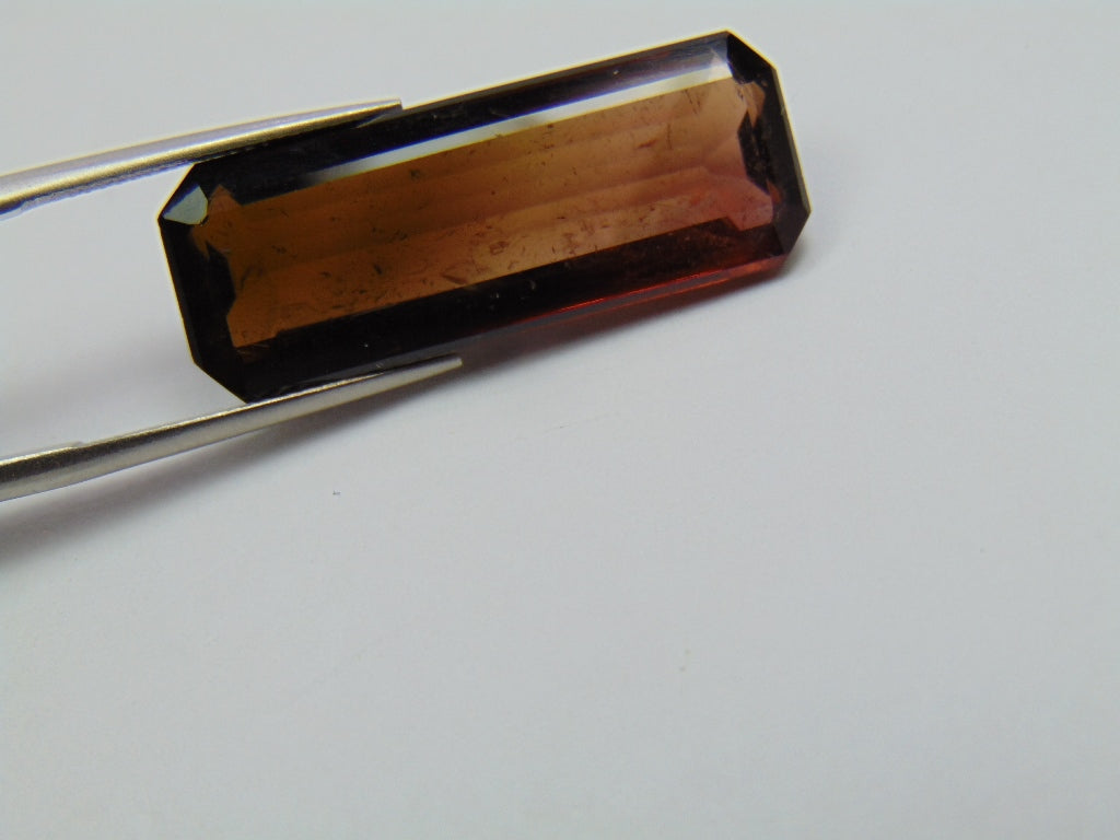 19.45ct Tourmaline Bicolor 29x11mm