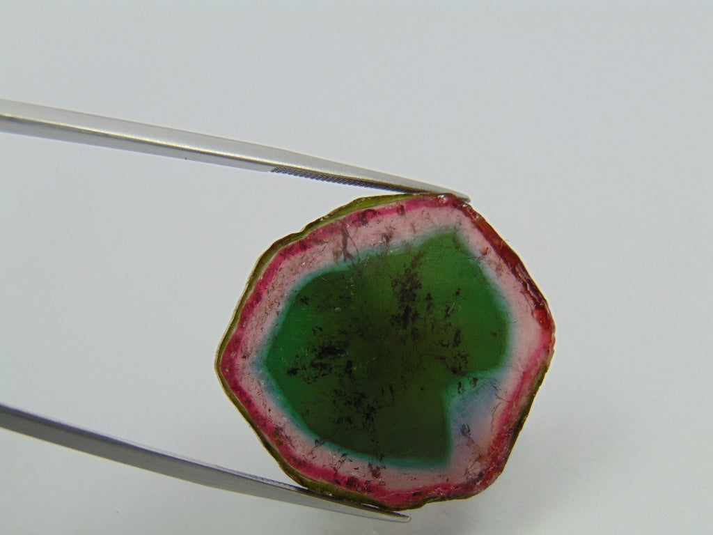 39.30ct Watermelon Tourmaline 27x4mm