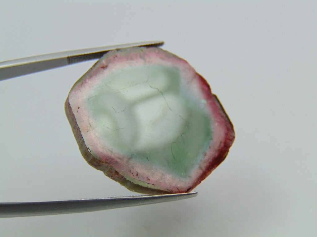 39.30ct Watermelon Tourmaline 27x4mm