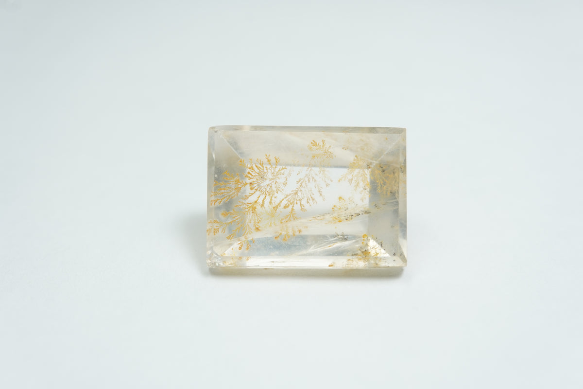 13.21ct Dendrite 16.5x12mm